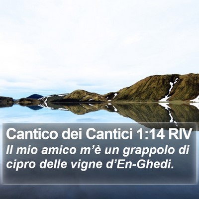Cantico dei Cantici 1:14 RIV Bible Verse Image