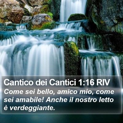 Cantico dei Cantici 1:16 RIV Bible Verse Image