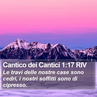 Cantico dei Cantici 1:17 RIV Bible Verse Image