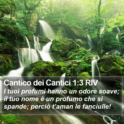 Cantico dei Cantici 1:3 RIV Bible Verse Image