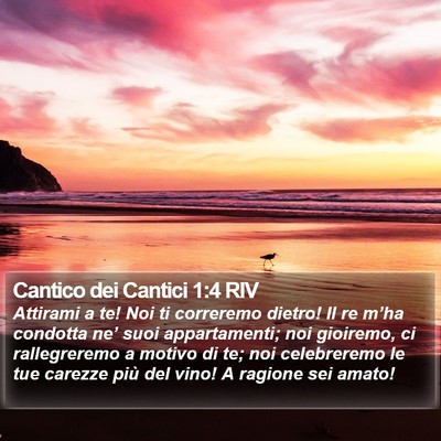 Cantico dei Cantici 1:4 RIV Bible Verse Image