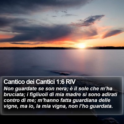 Cantico dei Cantici 1:6 RIV Bible Verse Image
