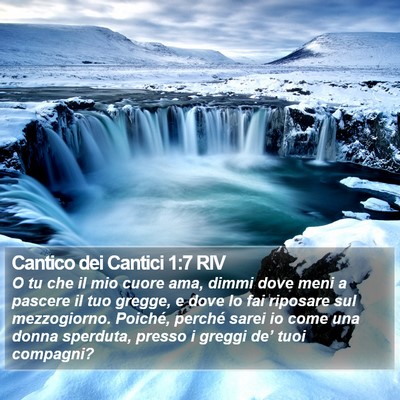 Cantico dei Cantici 1:7 RIV Bible Verse Image