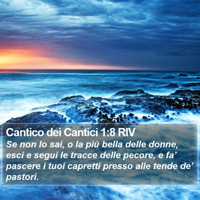 Cantico dei Cantici 1:8 RIV Bible Verse Image