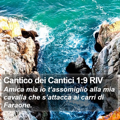 Cantico dei Cantici 1:9 RIV Bible Verse Image
