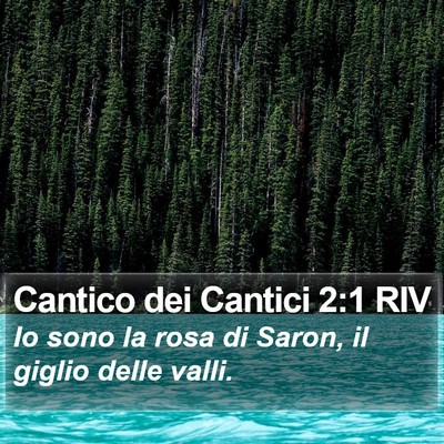 Cantico dei Cantici 2:1 RIV Bible Verse Image