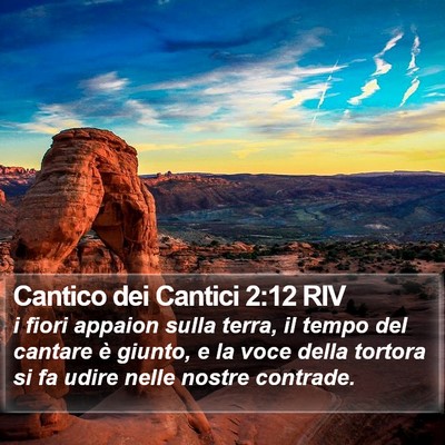 Cantico dei Cantici 2:12 RIV Bible Verse Image