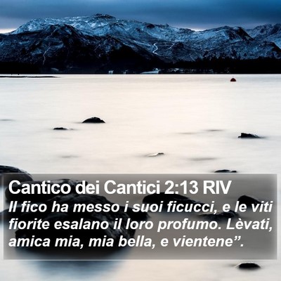 Cantico dei Cantici 2:13 RIV Bible Verse Image