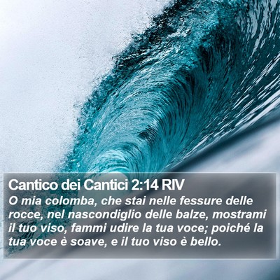 Cantico dei Cantici 2:14 RIV Bible Verse Image