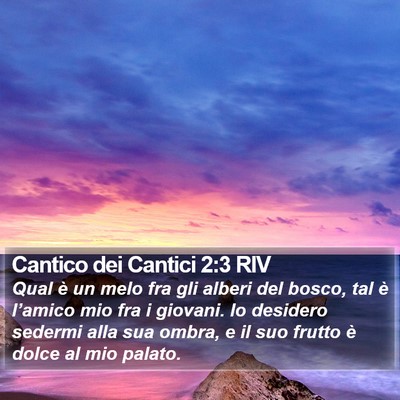 Cantico dei Cantici 2:3 RIV Bible Verse Image