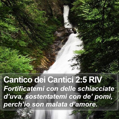 Cantico dei Cantici 2:5 RIV Bible Verse Image