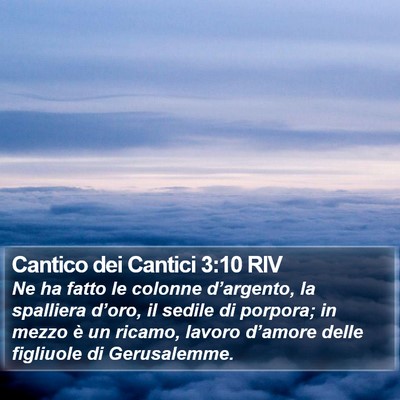 Cantico dei Cantici 3:10 RIV Bible Verse Image