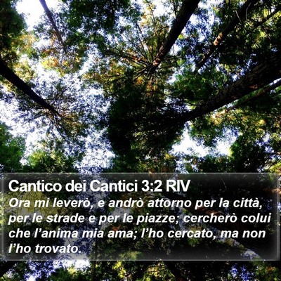 Cantico dei Cantici 3:2 RIV Bible Verse Image