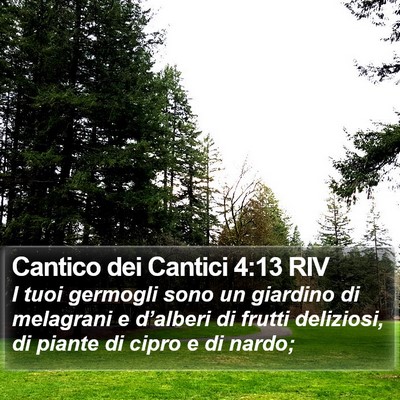 Cantico dei Cantici 4:13 RIV Bible Verse Image