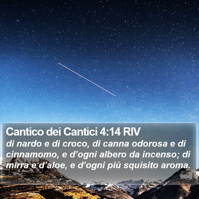 Cantico dei Cantici 4:14 RIV Bible Verse Image
