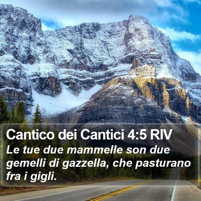 Cantico dei Cantici 4:5 RIV Bible Verse Image