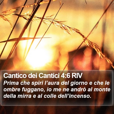 Cantico dei Cantici 4:6 RIV Bible Verse Image