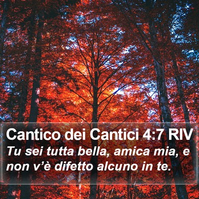 Cantico dei Cantici 4:7 RIV Bible Verse Image