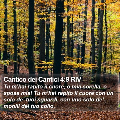 Cantico dei Cantici 4:9 RIV Bible Verse Image