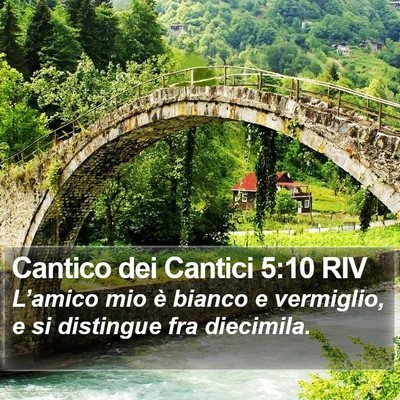 Cantico dei Cantici 5:10 RIV Bible Verse Image