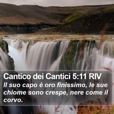 Cantico dei Cantici 5:11 RIV Bible Verse Image