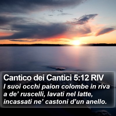 Cantico dei Cantici 5:12 RIV Bible Verse Image