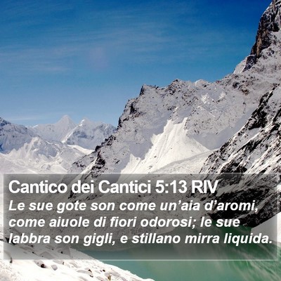 Cantico dei Cantici 5:13 RIV Bible Verse Image