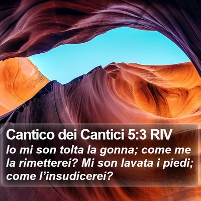 Cantico dei Cantici 5:3 RIV Bible Verse Image