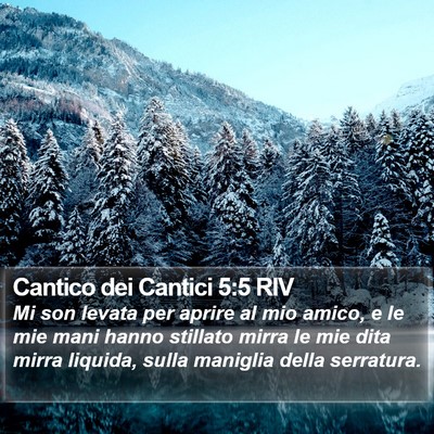 Cantico dei Cantici 5:5 RIV Bible Verse Image