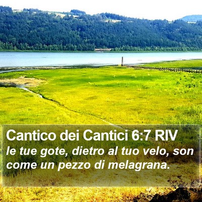 Cantico dei Cantici 6:7 RIV Bible Verse Image