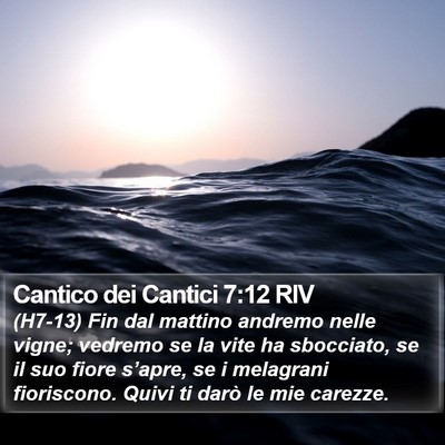 Cantico dei Cantici 7:12 RIV Bible Verse Image