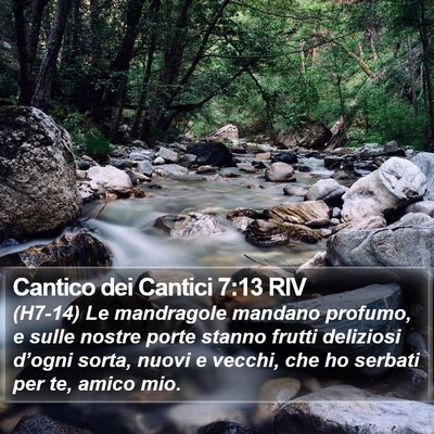 Cantico dei Cantici 7:13 RIV Bible Verse Image