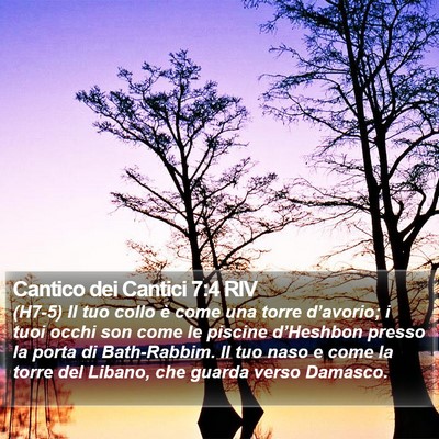 Cantico dei Cantici 7:4 RIV Bible Verse Image