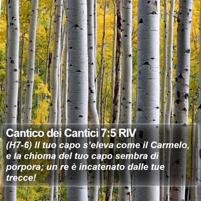 Cantico dei Cantici 7:5 RIV Bible Verse Image
