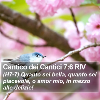 Cantico dei Cantici 7:6 RIV Bible Verse Image