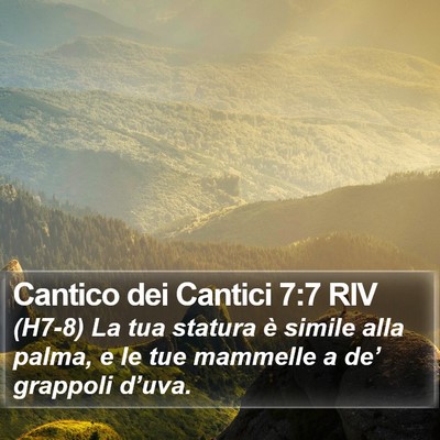 Cantico dei Cantici 7:7 RIV Bible Verse Image