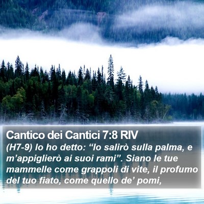 Cantico dei Cantici 7:8 RIV Bible Verse Image