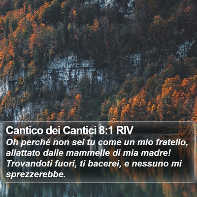 Cantico dei Cantici 8:1 RIV Bible Verse Image