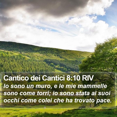 Cantico dei Cantici 8:10 RIV Bible Verse Image