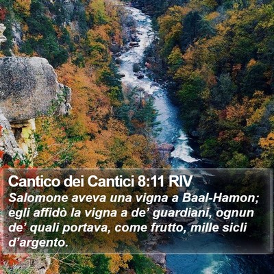 Cantico dei Cantici 8:11 RIV Bible Verse Image