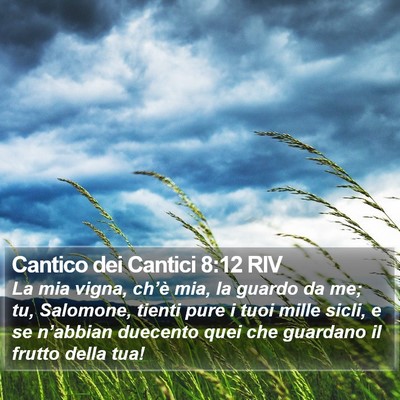 Cantico dei Cantici 8:12 RIV Bible Verse Image