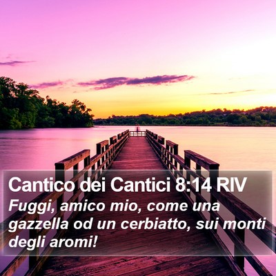 Cantico dei Cantici 8:14 RIV Bible Verse Image