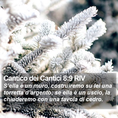 Cantico dei Cantici 8:9 RIV Bible Verse Image