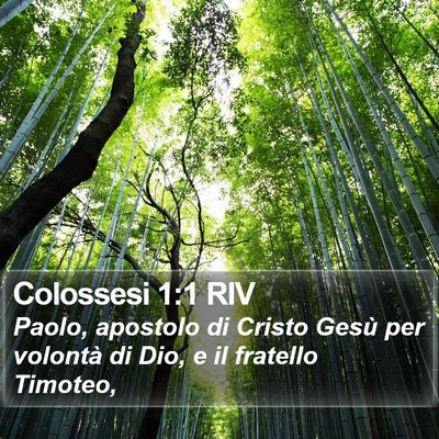 Colossesi 1:1 RIV Bible Verse Image