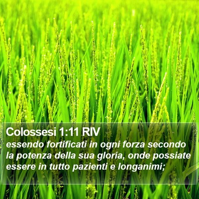 Colossesi 1:11 RIV Bible Verse Image