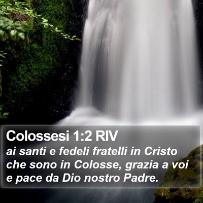 Colossesi 1:2 RIV Bible Verse Image