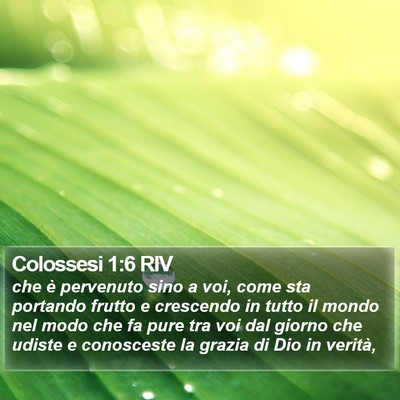 Colossesi 1:6 RIV Bible Verse Image