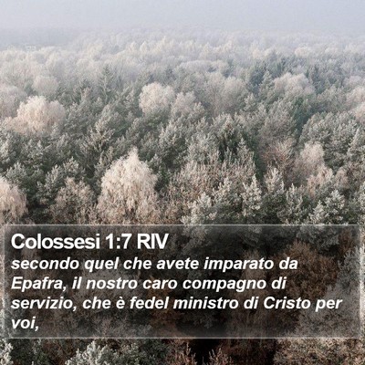 Colossesi 1:7 RIV Bible Verse Image
