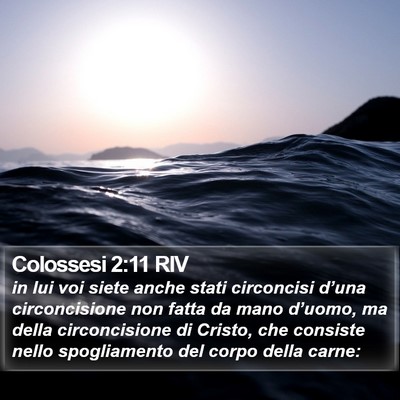 Colossesi 2:11 RIV Bible Verse Image