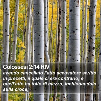 Colossesi 2:14 RIV Bible Verse Image
